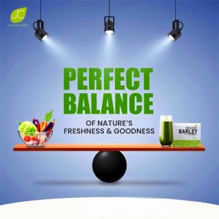 FB_IMG_1749535459039